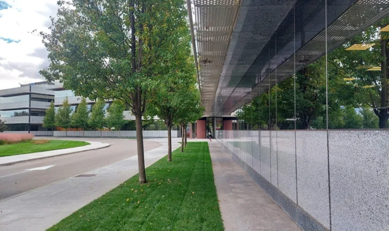 Lobelia Earth y MAPFRE analizan el impacto de los riesgos climáticos 